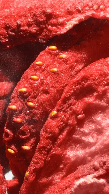 Gefriergetrocknete Erdbeeren in Nahaufnahme
